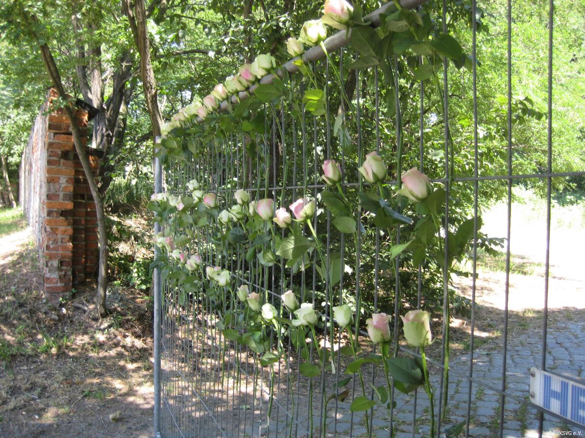 Archäologische Suche im Feld